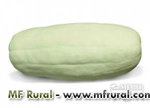 COMPRO ABOBORA PARA DOCE Imagem COMPRO ABOBORA PARA DOCE