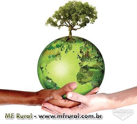 Imagem Compro Oleo Vegetal Usado Imagem Compro Oleo Vegetal Usado