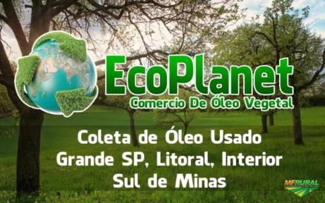 Compro Oleo Vegetal Usado Imagem Compro Oleo Vegetal Usado