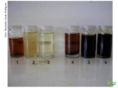 Investidor - Reciclagem - Juros de 1,5% ao mês por até 5 anos. Imagem Investidor - Reciclagem - Juros de 1,5% ao mês por até 5 anos.