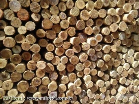 Imagem Estacas de Eucalipto tratado Imagem Estacas de Eucalipto tratado