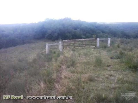 Área rural de 1700 hectares no estado do Rio Grande do Sul ótimo para gado e plantio de soja