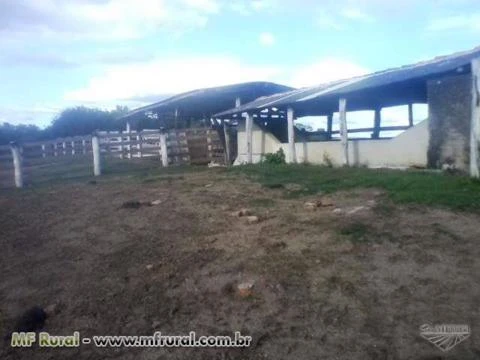Área rural de 1700 hectares no estado do Rio Grande do Sul ótimo para gado e plantio de soja