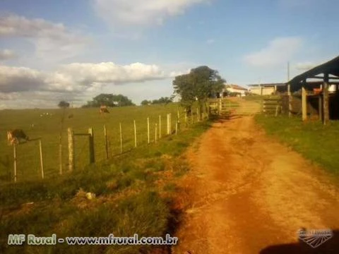 Área rural de 1700 hectares no estado do Rio Grande do Sul ótimo para gado e plantio de soja