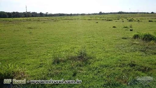 Sítio de 21,51 hectares em Campo Verde MT