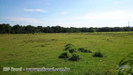 Sítio de 21,51 hectares em Campo Verde MT