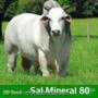 Sal Mineral 80 Goiás Nutrição Animal