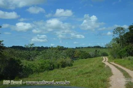 OPORTUNIDADE - LEILÃO DE TERRAS EM ARAPUTANGA – MT