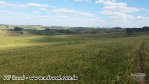 Propriedade para Produção de Leite.