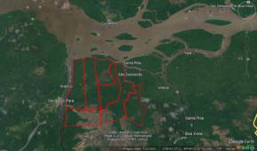 Vende-se área de 21.754 hectares no Pará