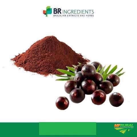 Açaí em pó Imagem Açaí em pó
