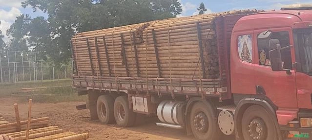 Macedo Imagem Macedo