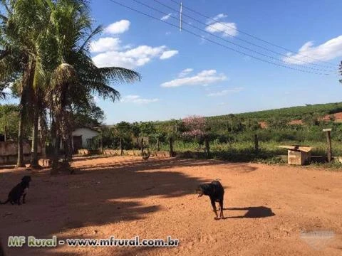 Sitio Retiro  em Bebedouro-SP