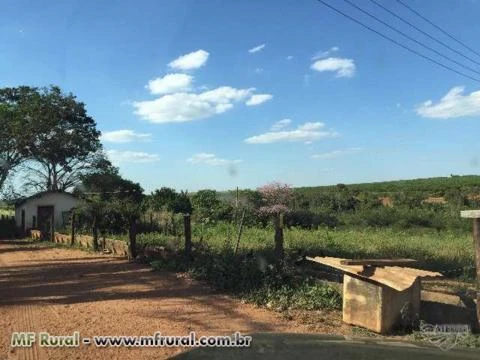 Sitio Retiro  em Bebedouro-SP