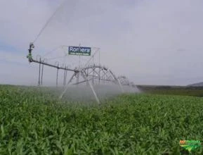 Pivôs Centrais de Irrigação Novos e Reformas