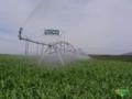 Pivôs Centrais de Irrigação Novos e Reformas Imagem Pivôs Centrais de Irrigação Novos e Reformas