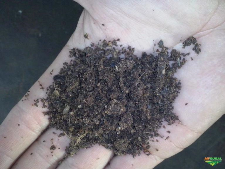 Adubo Orgânico Imagem Adubo Orgânico
