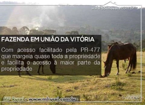 MARAVILHOSA FAZENDA UNIÃO DA VITORIA