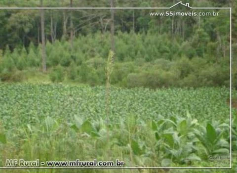 MARAVILHOSA FAZENDA UNIÃO DA VITORIA