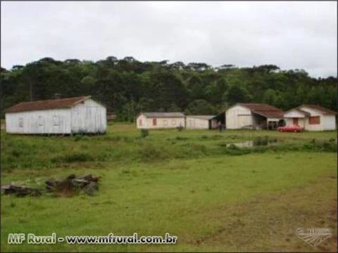 MARAVILHOSA FAZENDA UNIÃO DA VITORIA