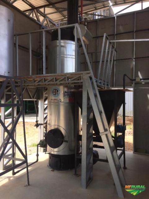 Imagem Caldeira a pellets, casca de arroz ou cavaco EIT 300 kg vapor hora + Peletizadora 125cv Equipar Imagem Caldeira a pellets, casca de arroz ou cavaco EIT 300 kg vapor hora + Peletizadora 125cv Equipar