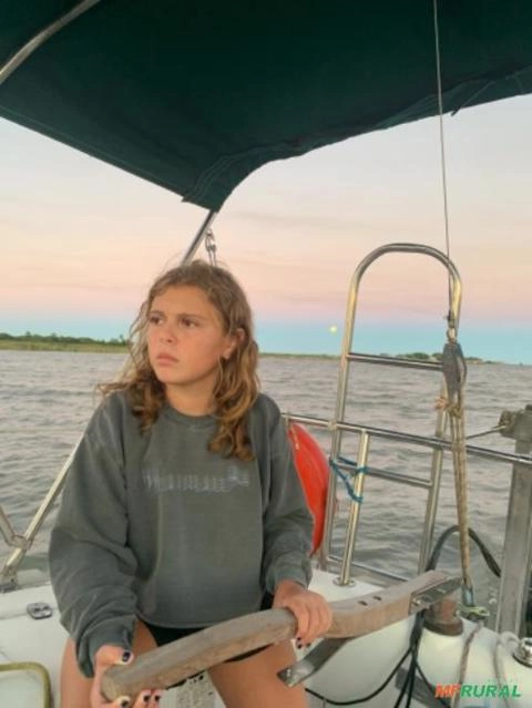 Imagem Caldeira a pellets, casca de arroz ou cavaco EIT 300 kg vapor hora + Peletizadora 125cv Equipar Imagem Caldeira a pellets, casca de arroz ou cavaco EIT 300 kg vapor hora + Peletizadora 125cv Equipar