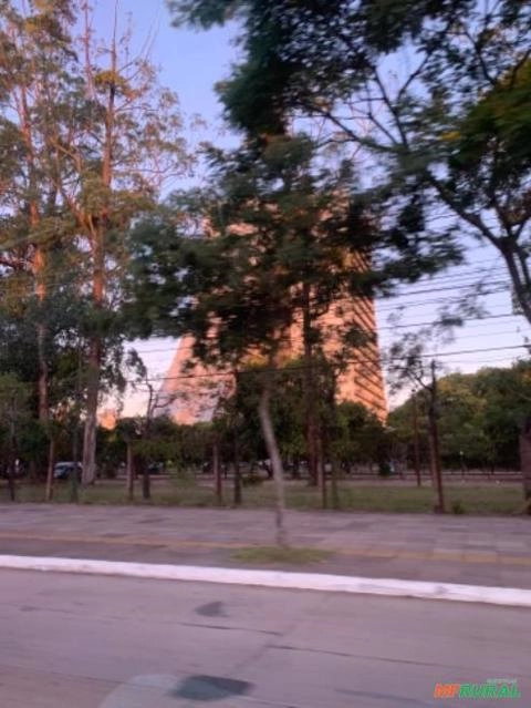 Imagem Caldeira a pellets, casca de arroz ou cavaco EIT 300 kg vapor hora + Peletizadora 125cv Equipar Imagem Caldeira a pellets, casca de arroz ou cavaco EIT 300 kg vapor hora + Peletizadora 125cv Equipar