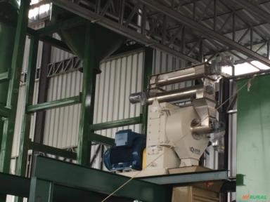 Imagem Caldeira a pellets, casca de arroz ou cavaco EIT 300 kg vapor hora + Peletizadora 125cv Equipar Imagem Caldeira a pellets, casca de arroz ou cavaco EIT 300 kg vapor hora + Peletizadora 125cv Equipar