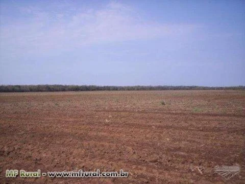 Fazenda em Tapira - PR