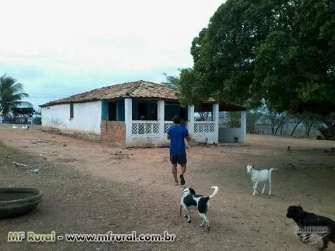 Fazenda às margens do Rio São Francisco