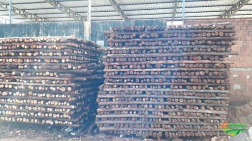 Pau de escoramento Imagem Pau de escoramento