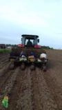 Plantio e Vendas de Mudas Tifton 85 Imagem Plantio e Vendas de Mudas Tifton 85