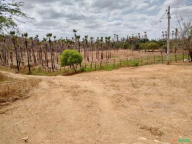 Fazenda em Canindé 630 hectares açude, poço com vazão de 40 mil m³/ hora, cerca nova, muita madeira