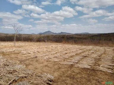 Fazenda em Canindé 630 hectares açude, poço com vazão de 40 mil m³/ hora, cerca nova, muita madeira