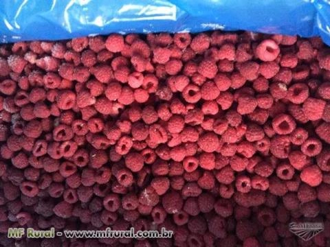 Imagem FRUTAS IMPORTADAS CONGELADAS Imagem FRUTAS IMPORTADAS CONGELADAS