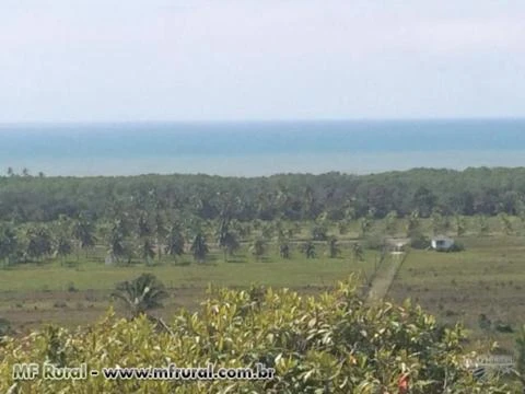 Fazenda no litoral sul da Bahia