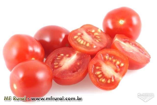 Tomate cereja Imagem Tomate cereja