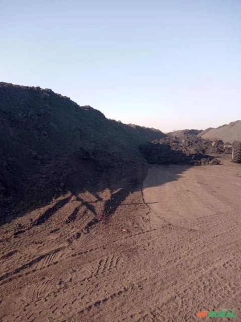 Imagem Turfa com Alto teor de Carbono Imagem Turfa com Alto teor de Carbono