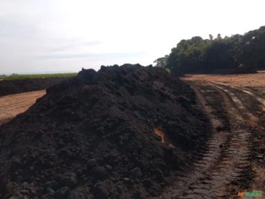 Imagem Turfa com Alto teor de Carbono Imagem Turfa com Alto teor de Carbono