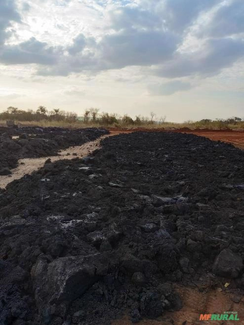 Turfa com Alto teor de Carbono Imagem Turfa com Alto teor de Carbono