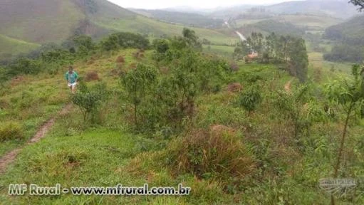 Sitio próximo a Juiz de Fora MG