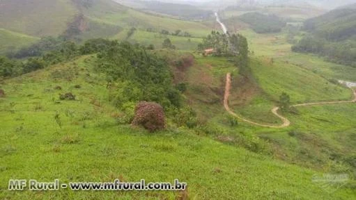 Sitio próximo a Juiz de Fora MG