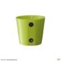 Vaso Magnético de Plástico Verde Limão 5cm x 6cm