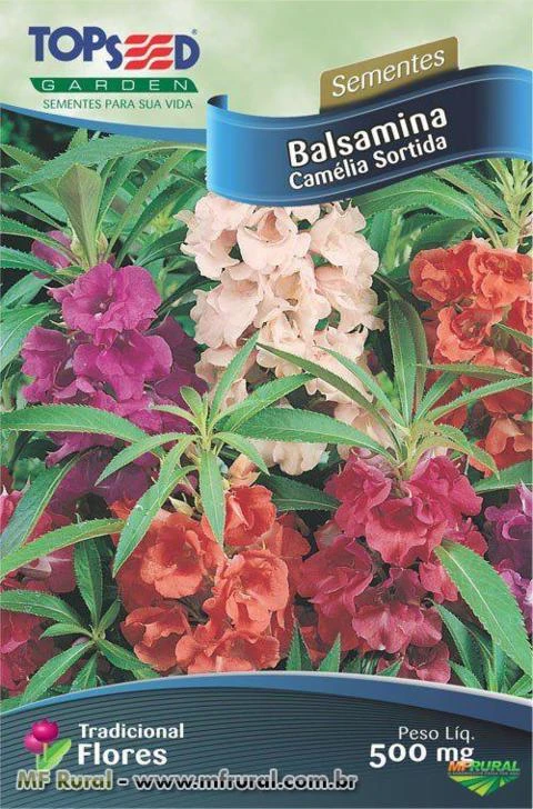 Sementes de Balsamina Camélia Sortida - Topseed Linha Tradicional Flores