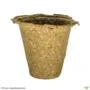 Vaso Biodegradável para plantio de sementes 9,5cm x 9,5cm