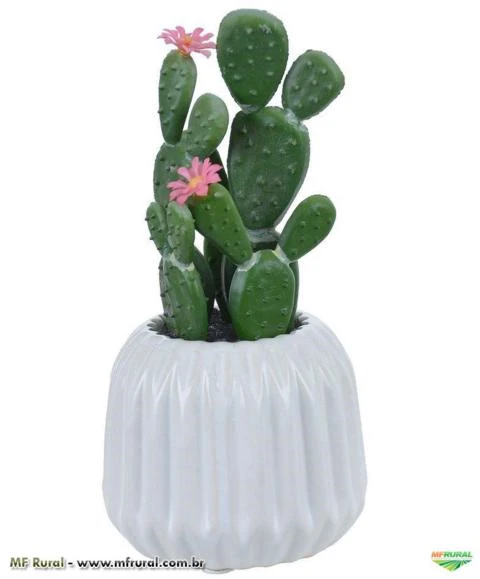 Cacto artificial com Vaso Branco 17cm x 8,5cm Flor Rosa - 36399002
