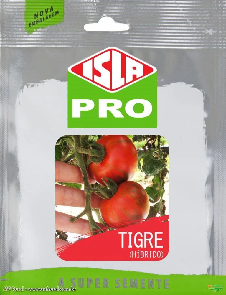 Sementes de Tomate Tigre Híbrido Importadas Envelope com 20 Sementes (63mg) - Isla Pro