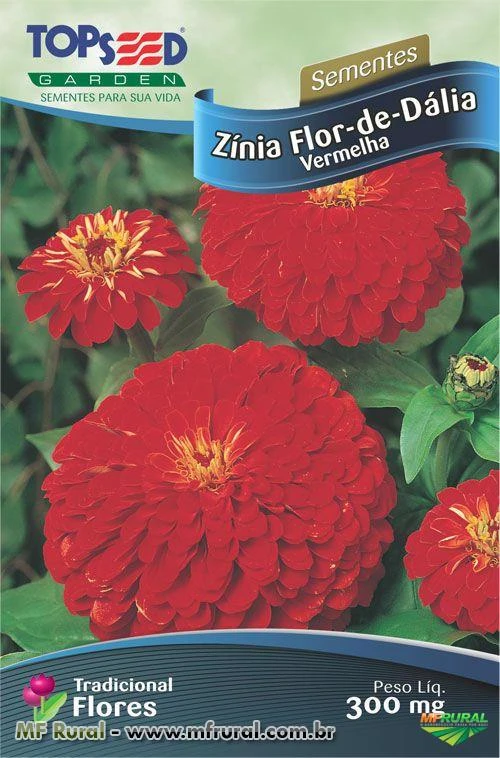 Sementes de Zínia Flor de Dália Vermelha 300mg - Topseed Linha Tradicional
