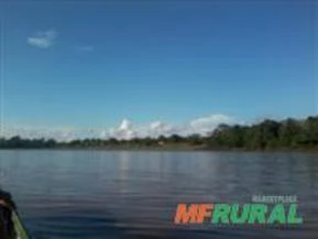 SERINGAL, COM FLORESTAS NATIVAS, NO AMAZONAS  * DOCUMENTAÇÃO TODA OK *