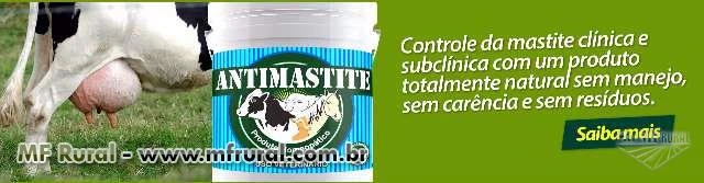 Antimastite